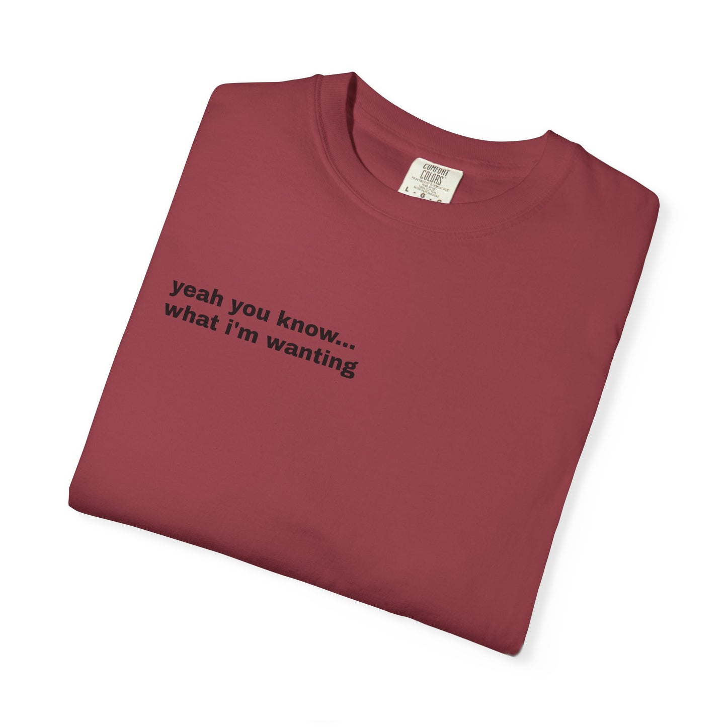 Unisex "What A Show" T-shirt