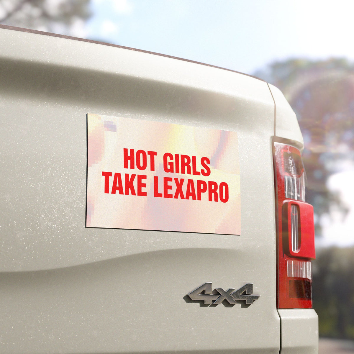 "HOT GIRLS TAKE..." Car Magnets