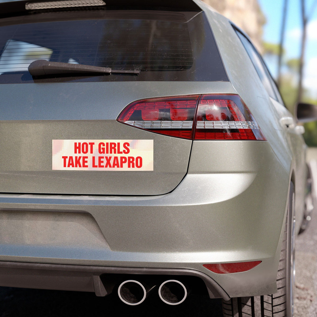 "HOT GIRLS TAKE..." Car Magnets
