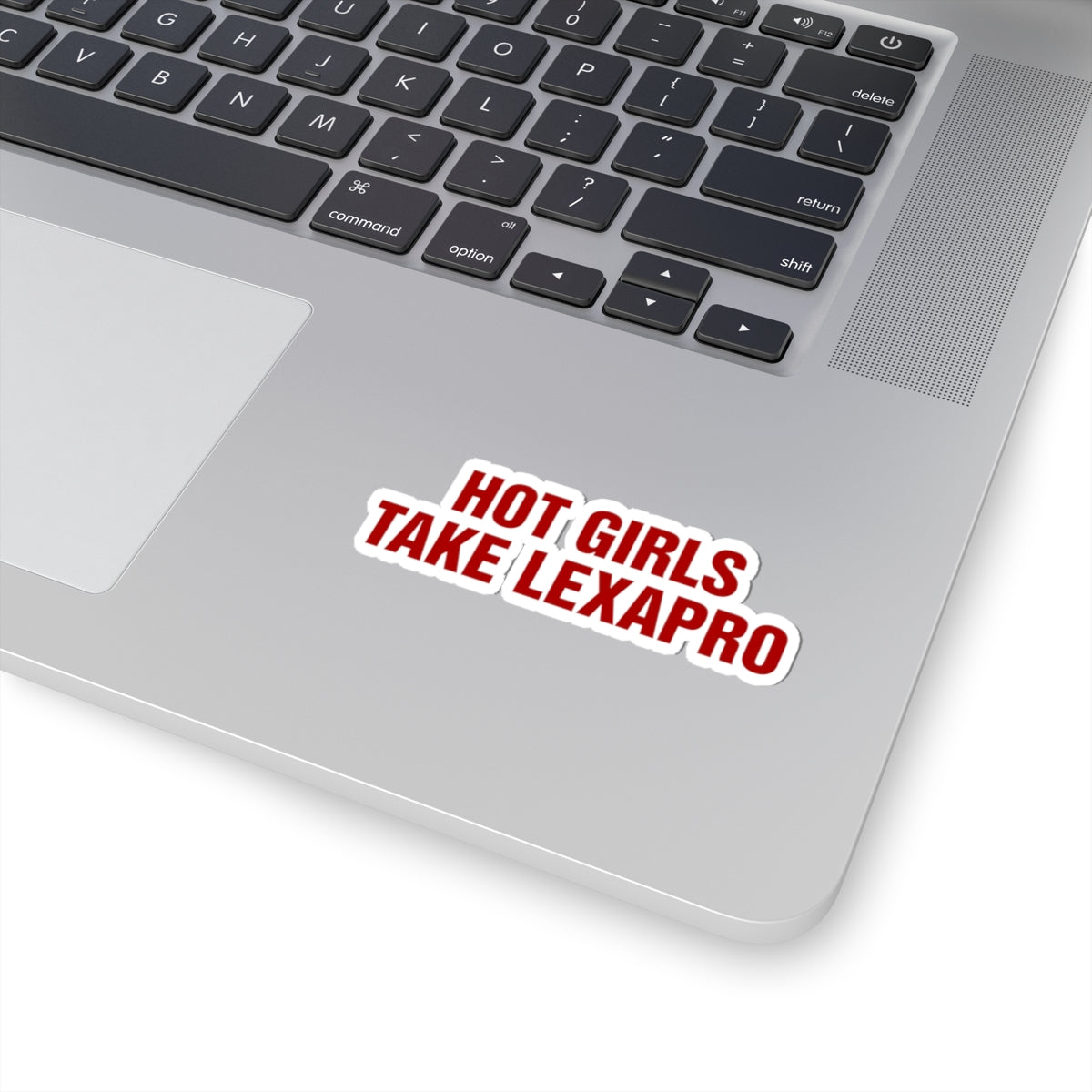 "HOT GIRLS TAKE..." Kiss-Cut Stickers