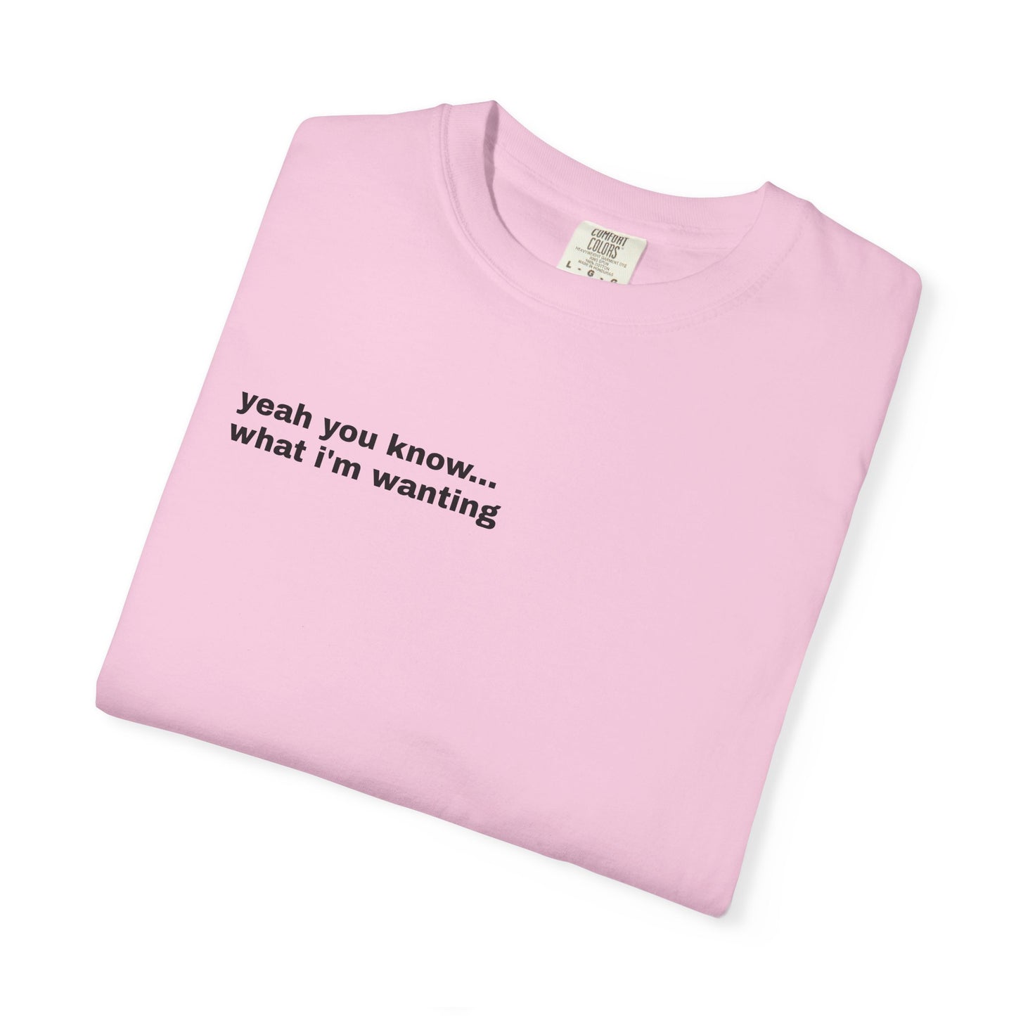 Unisex "What A Show" T-shirt