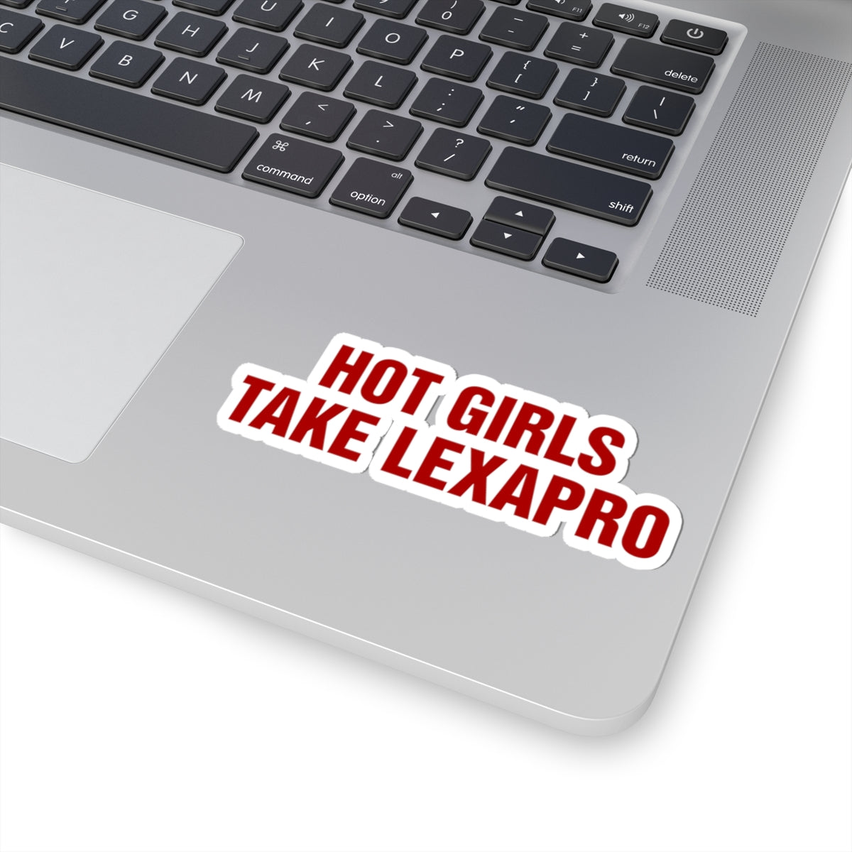 "HOT GIRLS TAKE..." Kiss-Cut Stickers