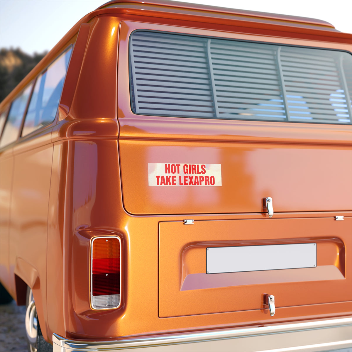 "HOT GIRLS TAKE..." Bumper Stickers