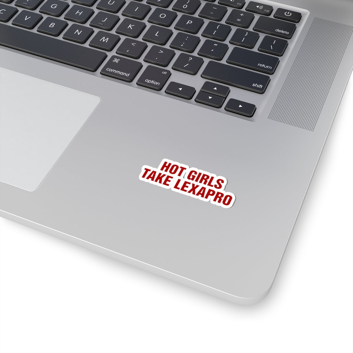"HOT GIRLS TAKE..." Kiss-Cut Stickers