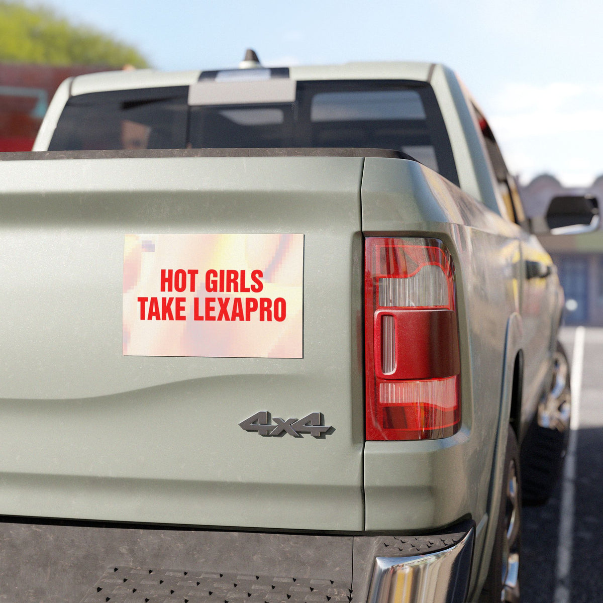 "HOT GIRLS TAKE..." Car Magnets
