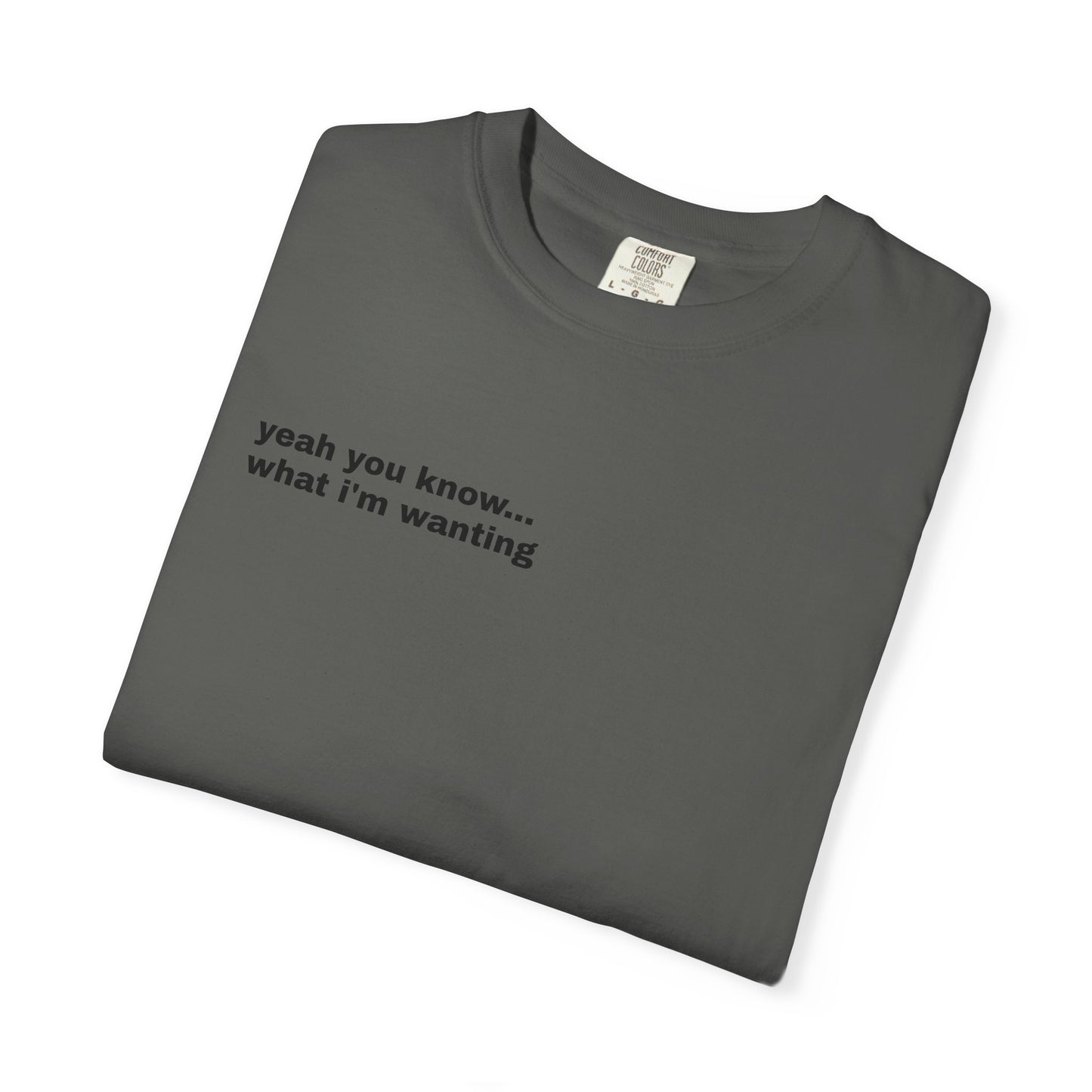 Unisex "What A Show" T-shirt