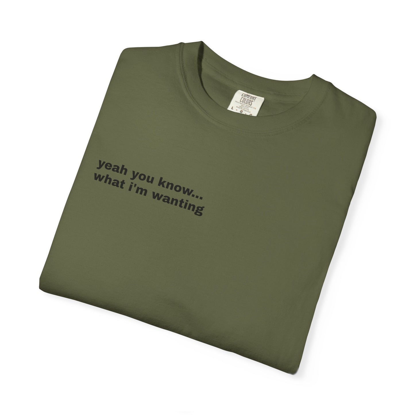 Unisex "What A Show" T-shirt