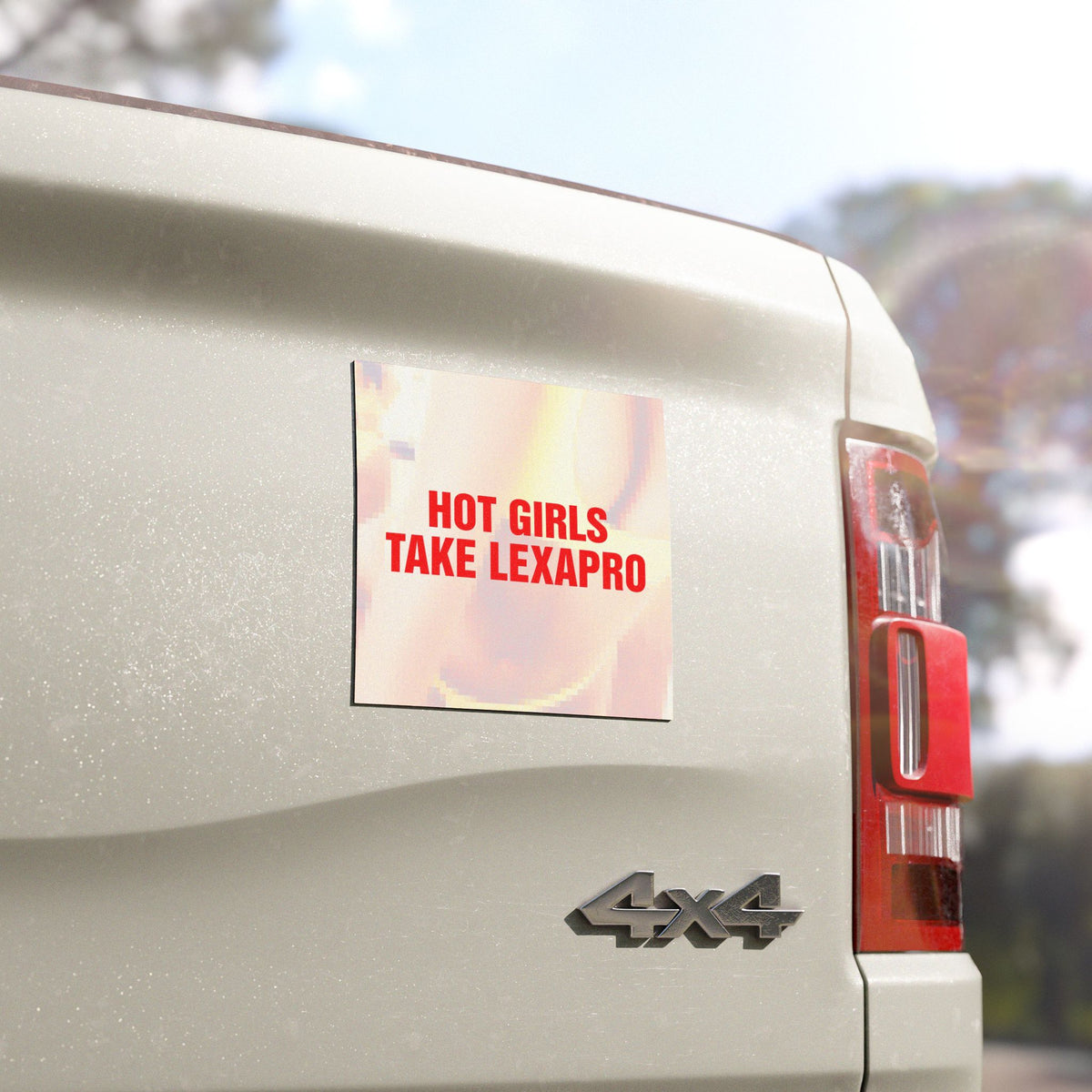 "HOT GIRLS TAKE..." Car Magnets