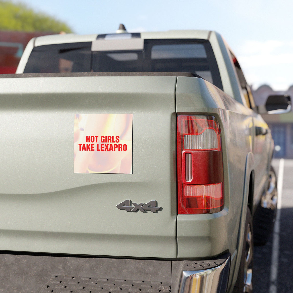 "HOT GIRLS TAKE..." Car Magnets