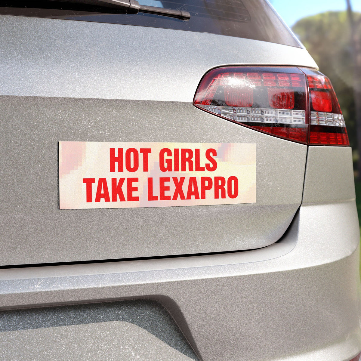 "HOT GIRLS TAKE..." Car Magnets