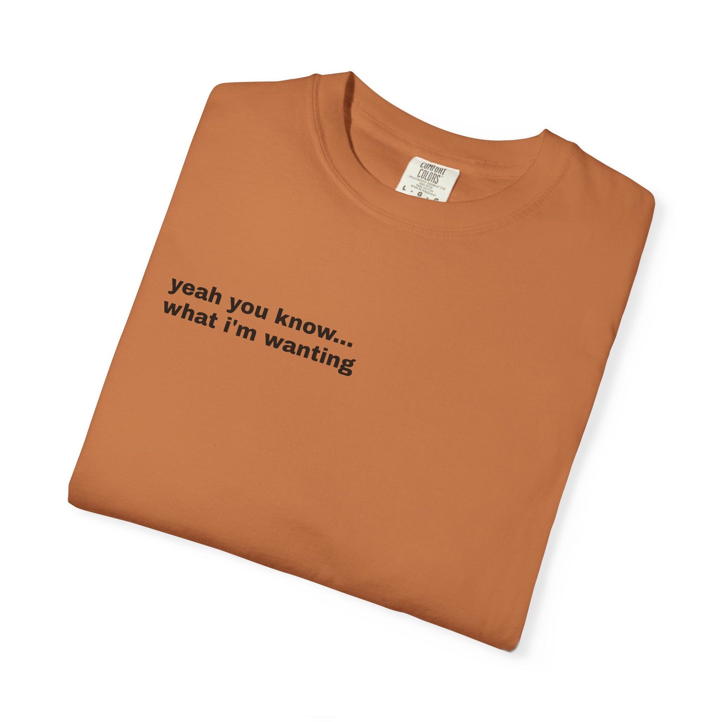 Unisex "What A Show" T-shirt