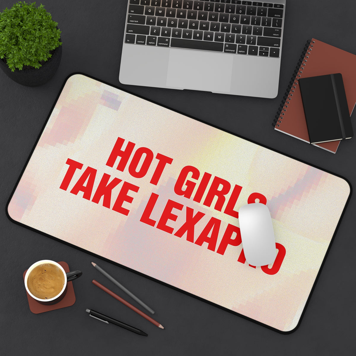 "HOT GIRLS TAKE..." Desk Mat