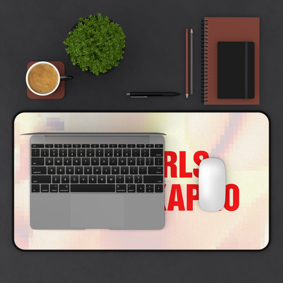 "HOT GIRLS TAKE..." Desk Mat