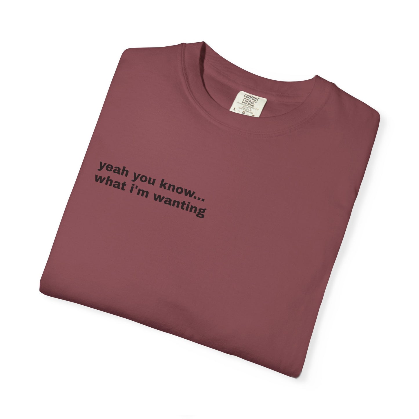 Unisex "What A Show" T-shirt
