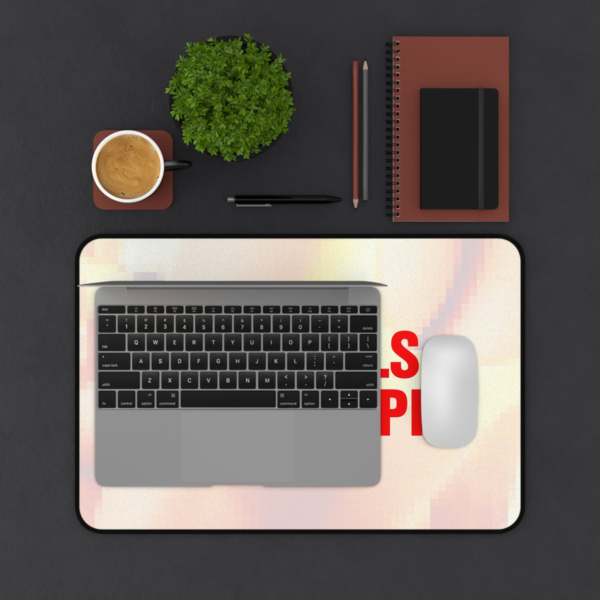 "HOT GIRLS TAKE..." Desk Mat